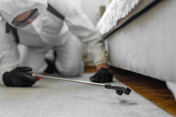 Professional Termite Control technician working in Batavia, IL