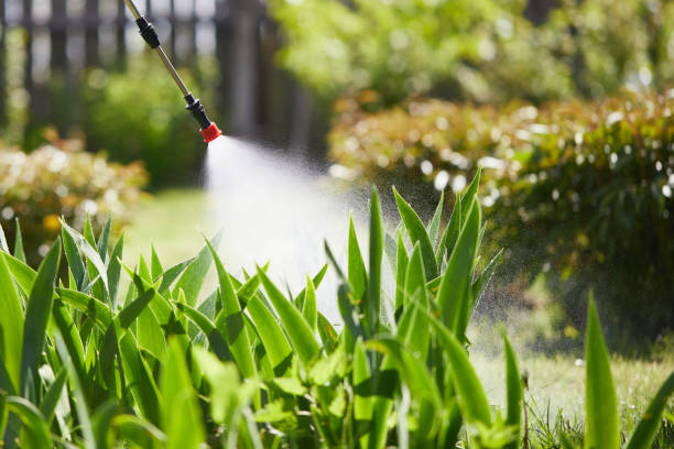 24/7 Emergency Termite Control experts in Batavia, IL